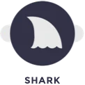 shark-just-swim-chennai