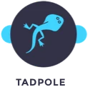 tadpole-just-swim-chennai